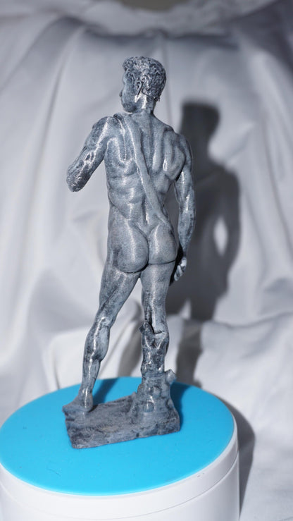 David: The embodying Form