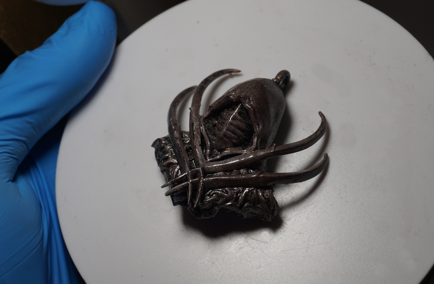Claw Talisman Jewelry piece