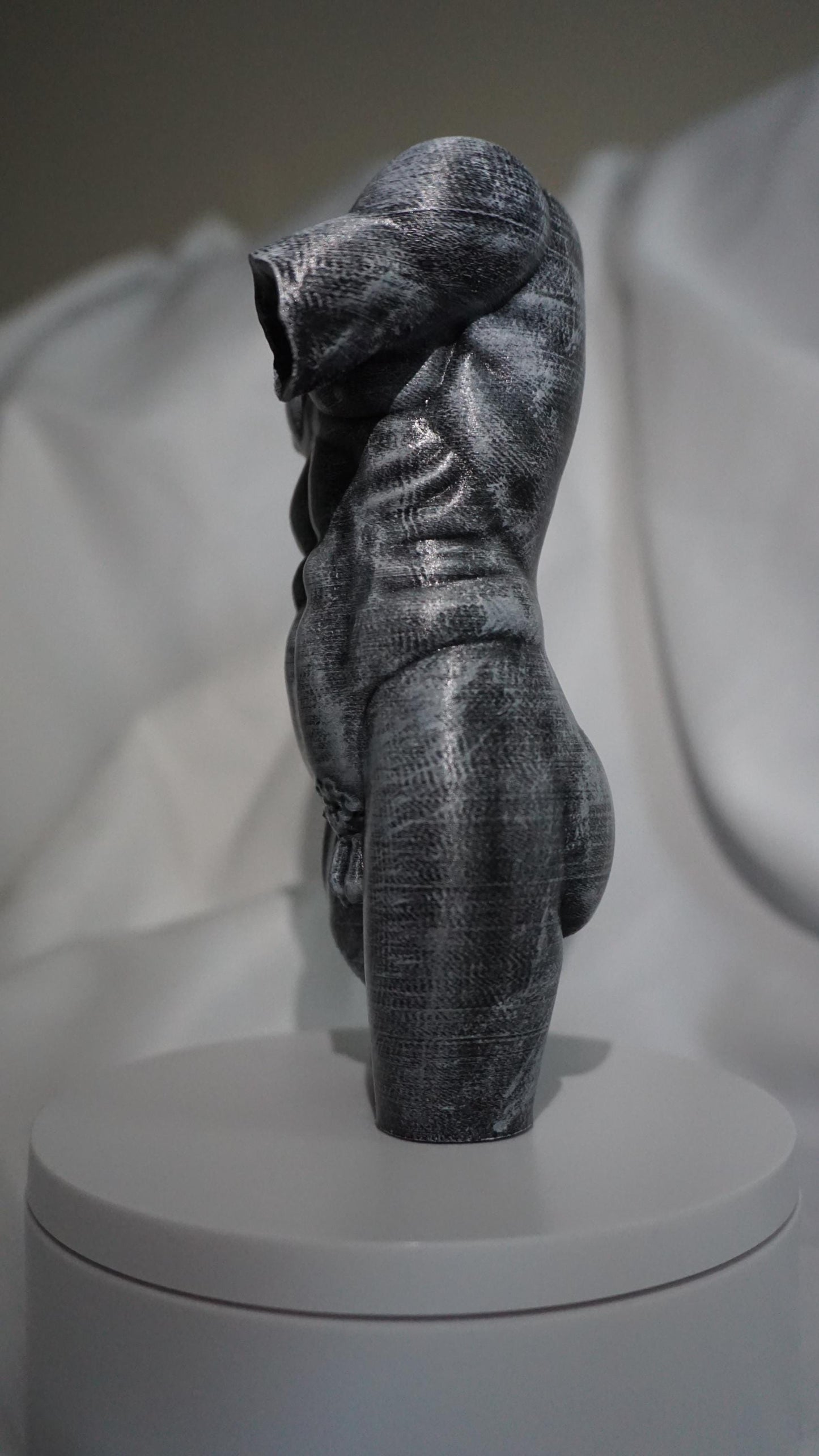 Eternal Form, The Sculpted Torso Antique Statue